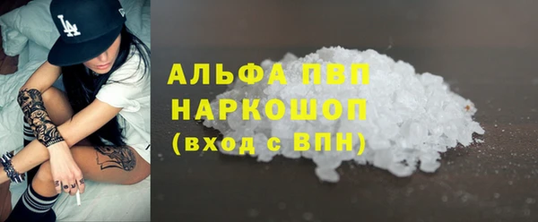 индика Богданович